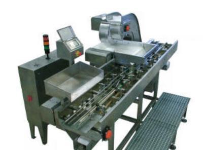 Automatic and manual filling devices