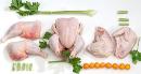 Fresh poultry meat