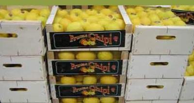 Packed lemons Image