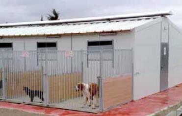Cages and accesories for dogs