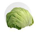 Iceburg lettuce, other varieties, endives and their varieties