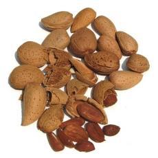 Almond shell dry