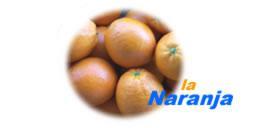 Naraja confeccinada con la marca Margoz