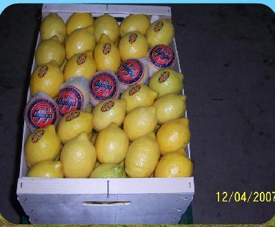 Limones comercializados con la marca Ayaga