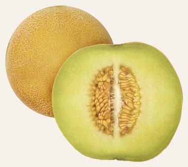 Esta variedad de melón se caracteriza por su color amarillo y pulpa dulce y suave, con alto poder refrescante