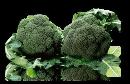 Brócoli fresco
