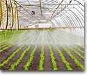 Invernaderos para tecnologia agraria