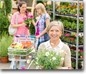 Comercialización de productos de jardinería, flores, plantas y bulbos