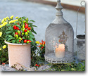 Gardening decoration accessories (pots, jardinière, etc)