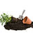 Peat for gardening