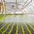 Greenhouses for farming technology