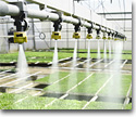 Organic irrigation for farming technology