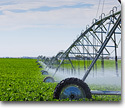 Irrigation equipment of farming technology