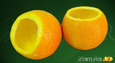 Outer orange peal for frozen sorbet